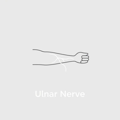 Book Test Ulnar Nerve