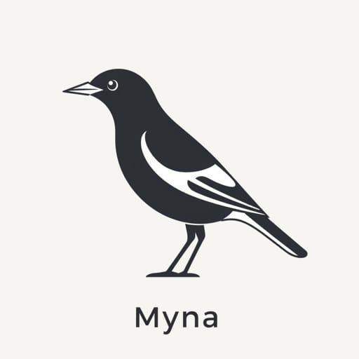 English Name of Myna