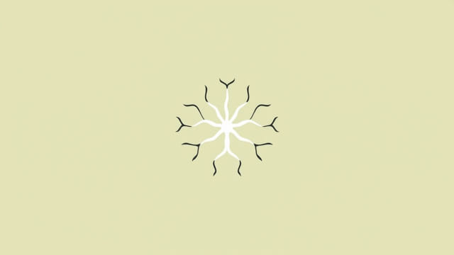 Is 11th Cranial Nerve