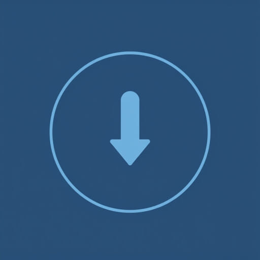 What is a put option