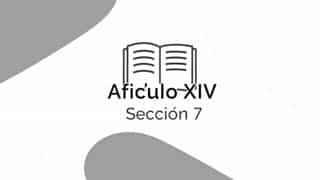 Artikulo Xiv Seksiyon 7