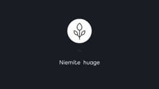 Au Centre Des Attentions