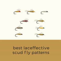 Best Scud Fly Patterns