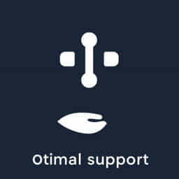 Best Support For Lucian