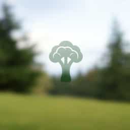 Broccoli Koken Hoe Lang