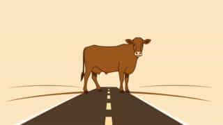Brown Cow Highroad Well