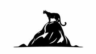 Cougar On Haystack Rock