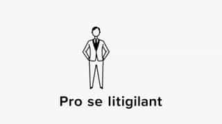 Define Pro Se Litigant