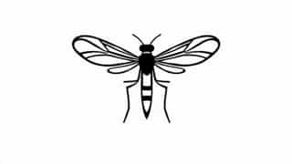 Is Horsefly A Game Xbox