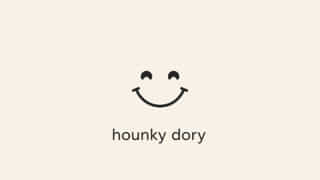 Is Hunky Dory Offensive