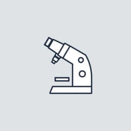 It Is Notorious Synonym