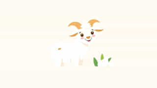 Jollity Farm Goat Dairy