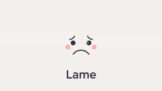 Meaning Of Lame In Chat