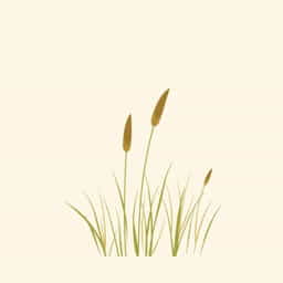 Midwest Grass And Forage