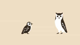 Neal Callow State Farm