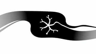 Nerve And Sinew Meaning