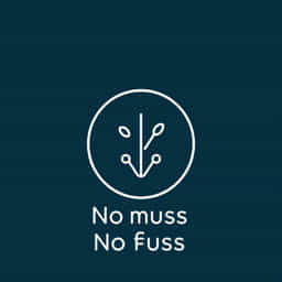 No Muss No Fuss Meaning