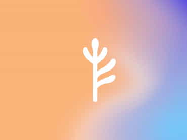 Nonage Ale Ge Mada Sale