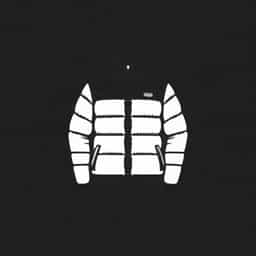 North Face Black Puffer