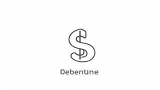 One Type Of Debentures