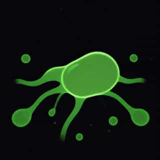 Other Name Of Cytoplasm