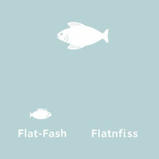 Other Names For Flatfish