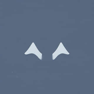 Other Term For Apprehend