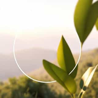 Paraiso Ni Baste Reviews