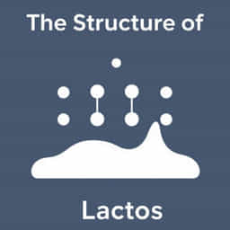 The Structure Of Lactose