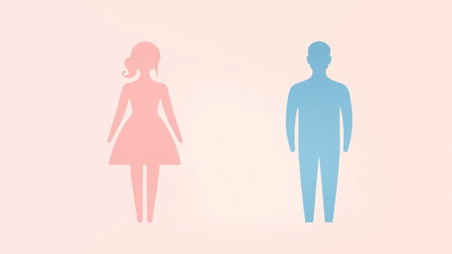 Vroulike En Manlike Vorm