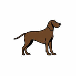 Where Is Bloodhound Step