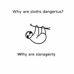 Why Are Sloths Dangerous