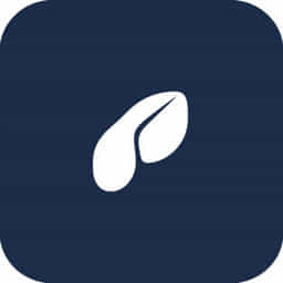 Y Par Meaning In English