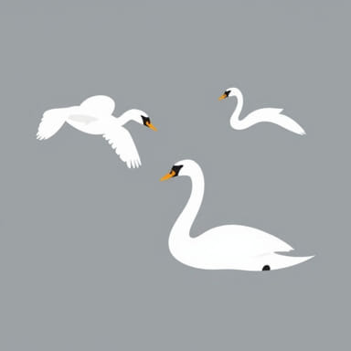Are Whooper Swans Dangerous