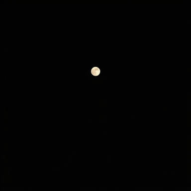 Darkness Visible William Styron