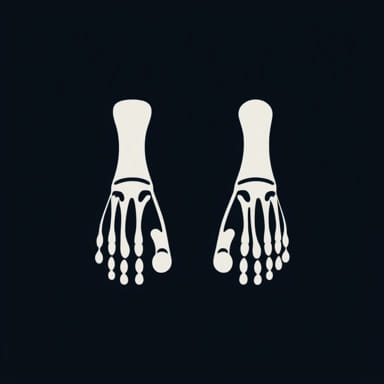 Define Proximal And Distal