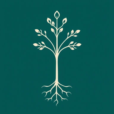 Function Of Conjunctive Tissue In Dicot Root