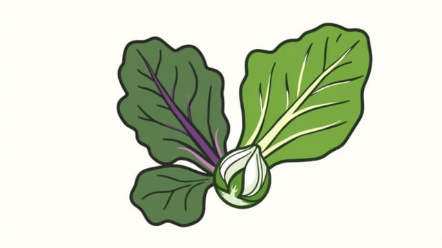 Kale Radicchio Brussel Sprout Salad