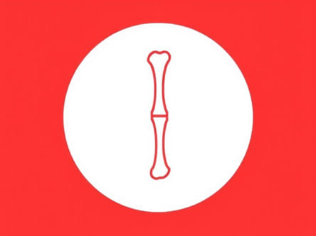 Known As The Shinbone