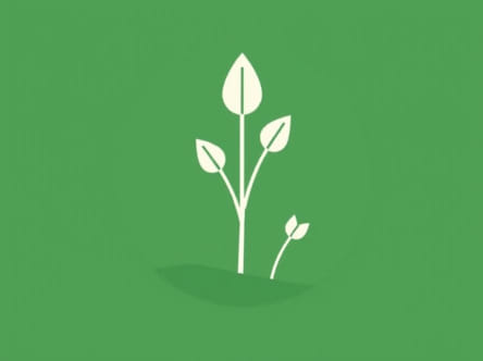 Quickest Way To Level Botanist Ffxiv