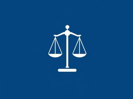 Self Represented Litigant Meaning