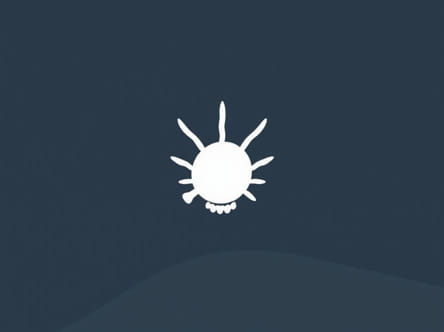 What Is The Meaning Of Cowrie