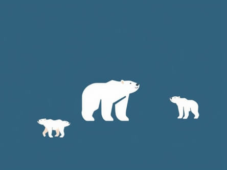 Where Are Polar Bears