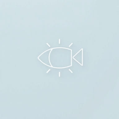 Cuando Inicia El Buen Fin