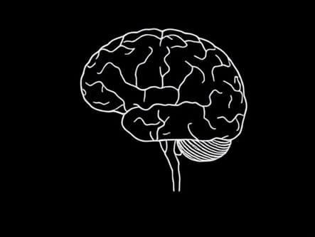 Dural Venous Sinuses Paired Unpaired