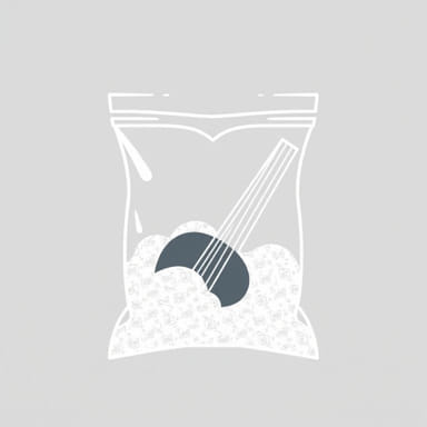 Dust In A Baggie Chords