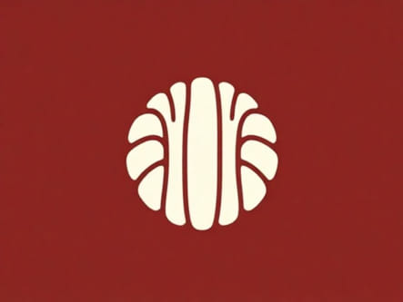 Elements Of The Story Makato And The Cowrie Shell