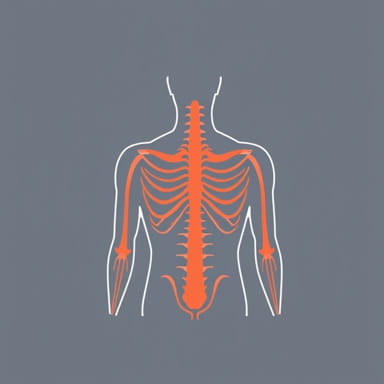 Exercises For Radial Nerve Palsy