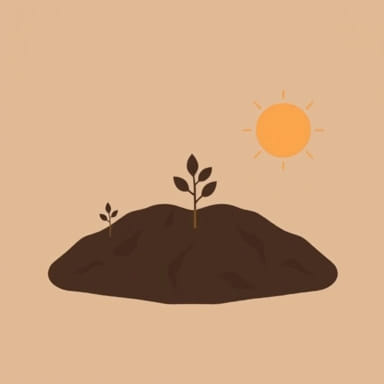 Explain Why Volcanic Soil Andisol Is Fertile