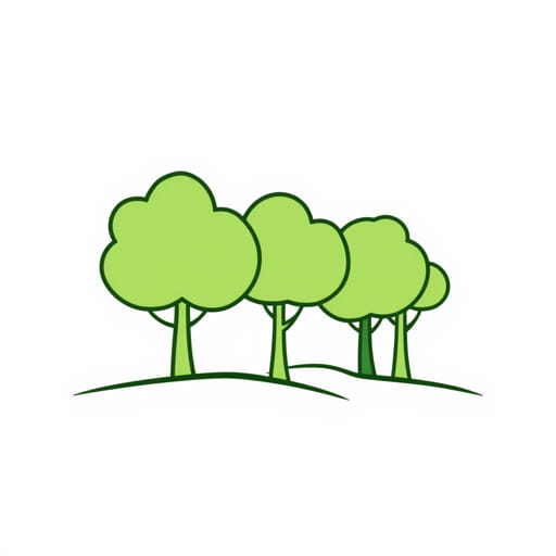 Facts About Deciduous Forest